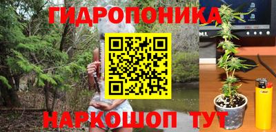 кокс Нальчик