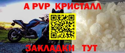 кокс Нальчик